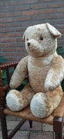 Antique 1920s JUMBO 30 inch Dutch Van Gelden Teddy Bear 76cm Beige Silk Plush