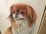 Pekingese Dog Art Print New Sealed with Template 10x8 inch