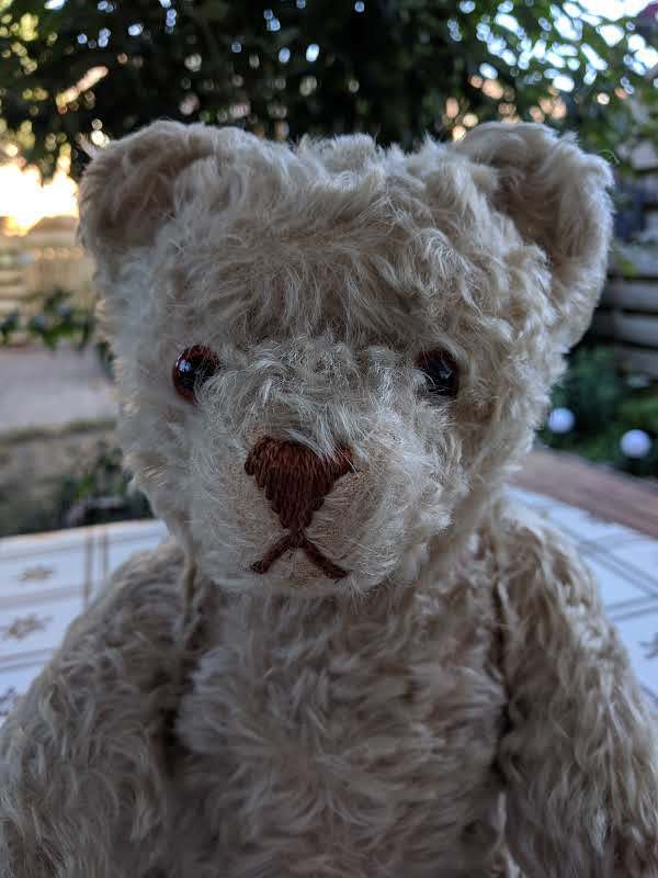 STEIFF ~~ 1905 Classic Richard Steiff Golden Mohair Teddy Bear Tag