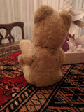 Antique Richard Diem Germany Bear Wool Plush Jointed 1930s Shoe Button Eyes 8in