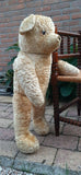 Antique 1920s JUMBO 30 inch Dutch Van Gelden Teddy Bear 76cm Beige Silk Plush