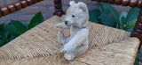 Antique 1940s Steiff Germany Teddy Bear 18 CM Mohair Glass Eyes Double Squeaker