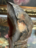 Geode Rock 5"x3" Copper Reddish Brown 1.060Kg Weight 1/2 Polished 1/2 Raw Stone