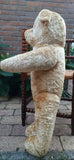 Antique 1920s JUMBO 30 inch Dutch Van Gelden Teddy Bear 76cm Beige Silk Plush