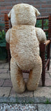 Antique 1920s JUMBO 30 inch Dutch Van Gelden Teddy Bear 76cm Beige Silk Plush