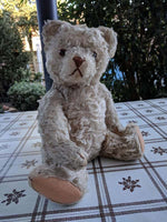 Antique 1905 - 1933 Steiff Teddy Bear 28PAB 5328,2 White Mohair 15.7 inch Tall