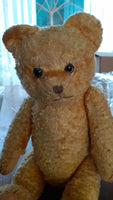 Old Antique English UK Yellow Teddy Bear Glass Eyes Working Squeaker Wood Fibers