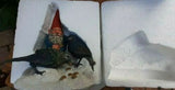 Rien Poortvliet David Gnome Thomas Feathered Friends Forever 6.5" Box COA Enesco